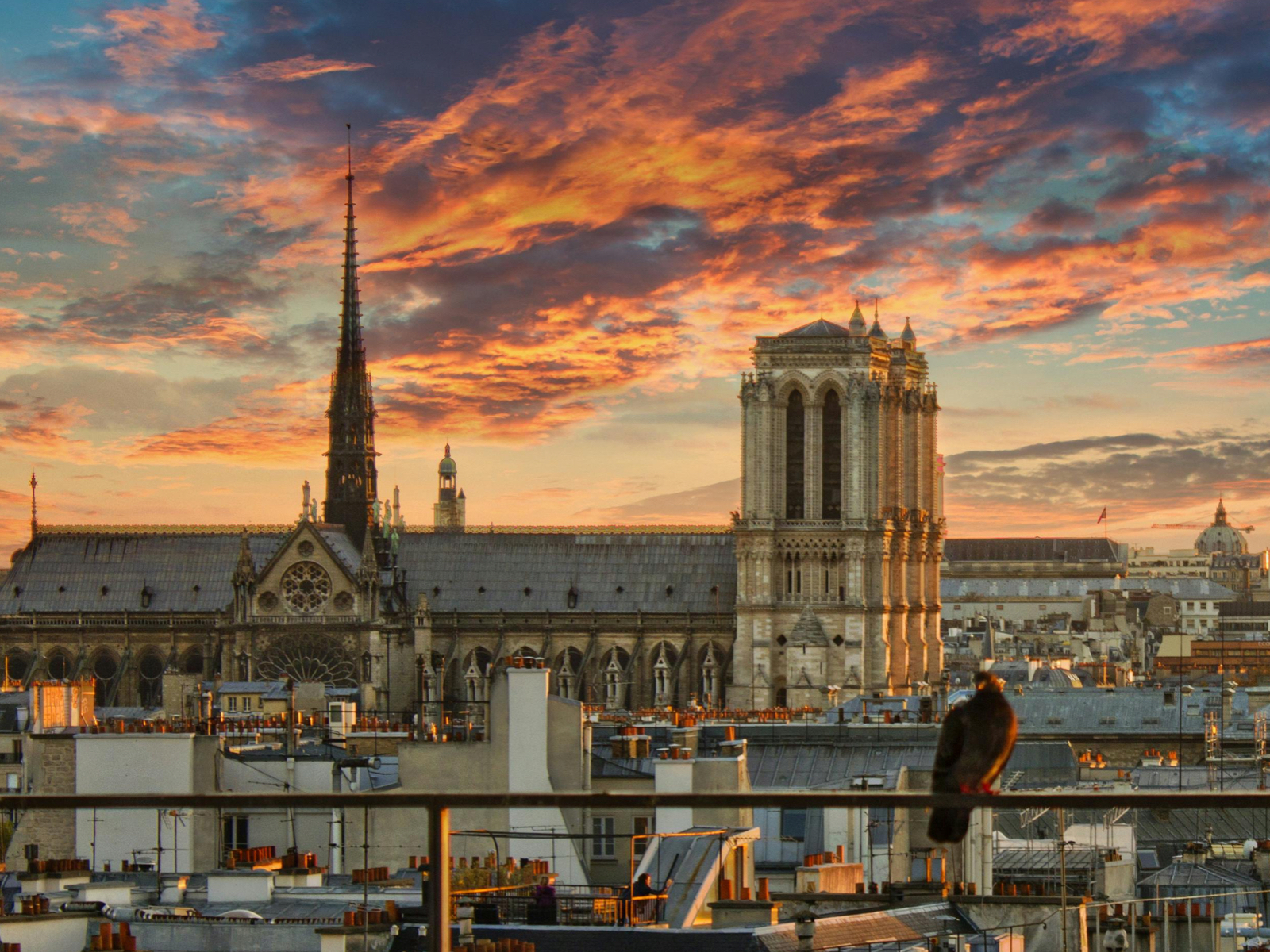 2026年巴黎十大必去美术馆与博物馆推荐｜地址、开放时间与多语种讲解全攻略