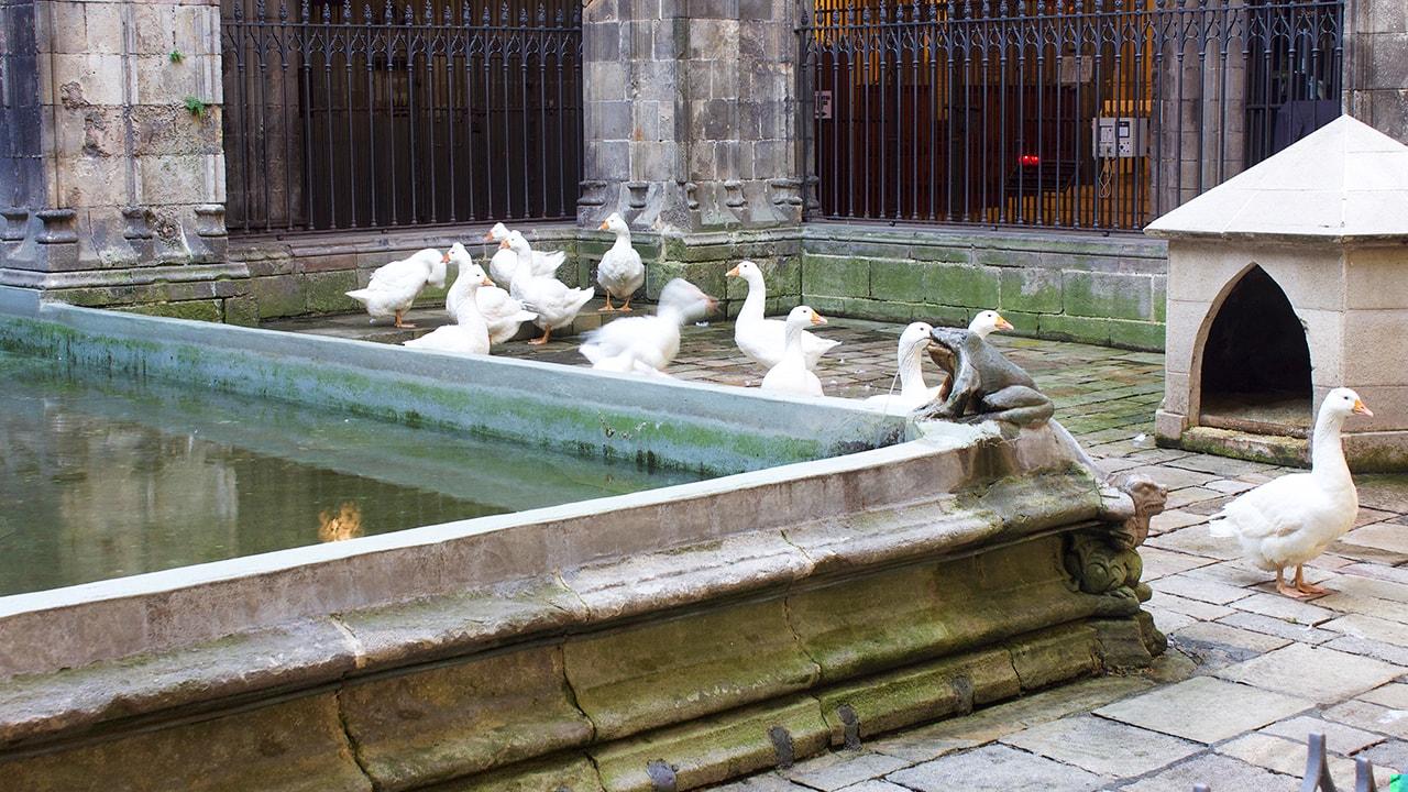 Katedralin On Üç Kazı