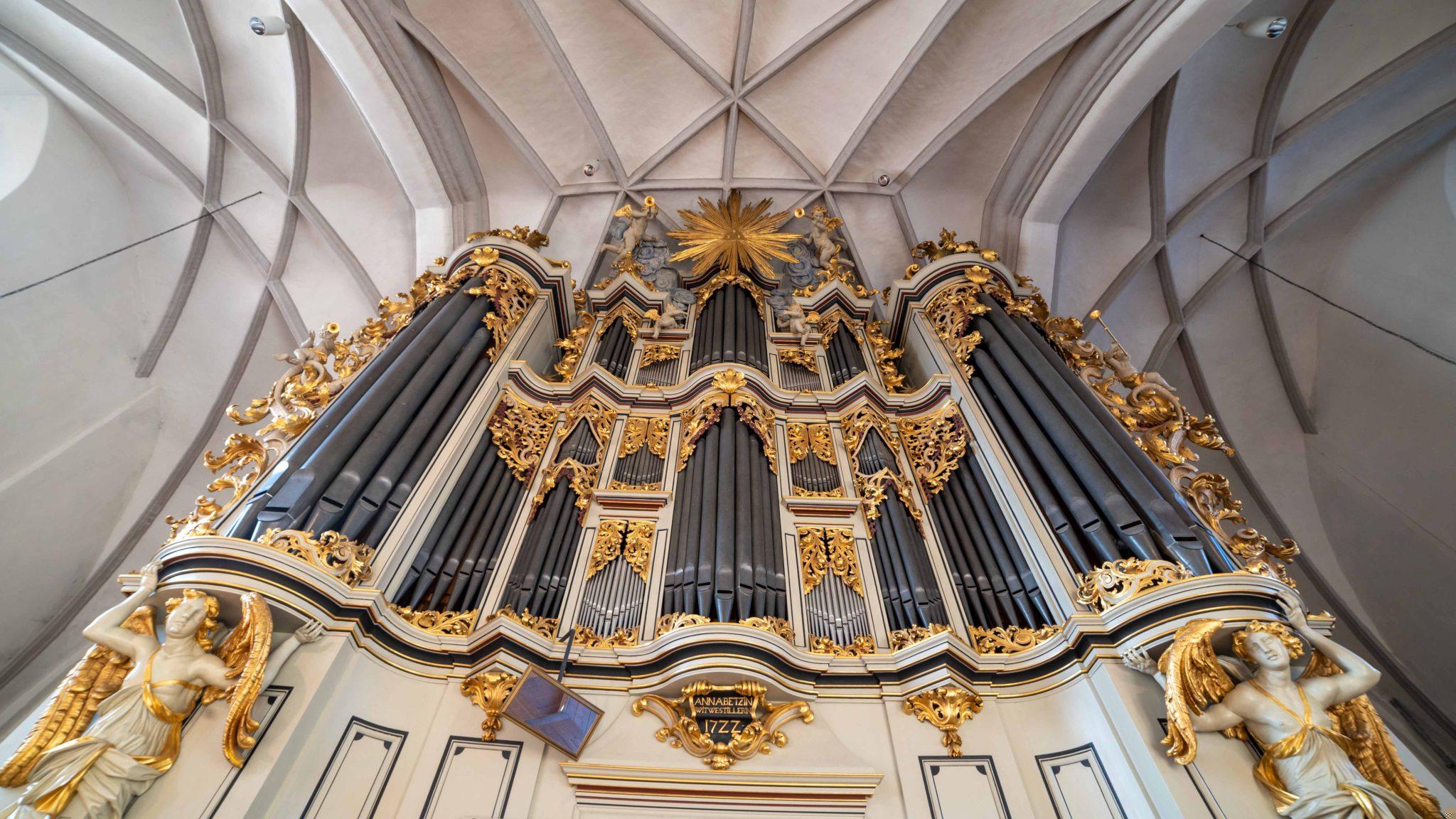 The Organ
