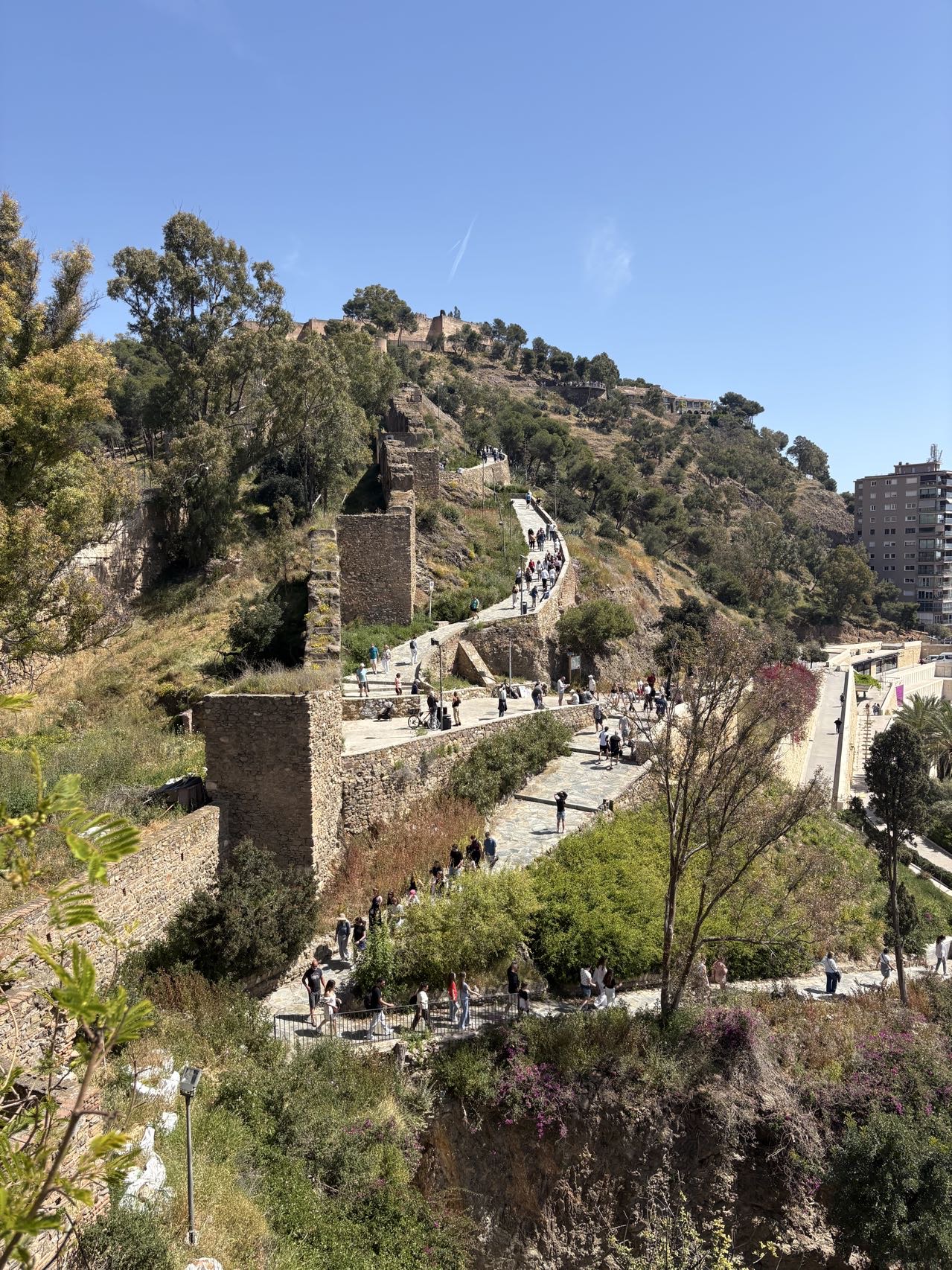 La Coracha