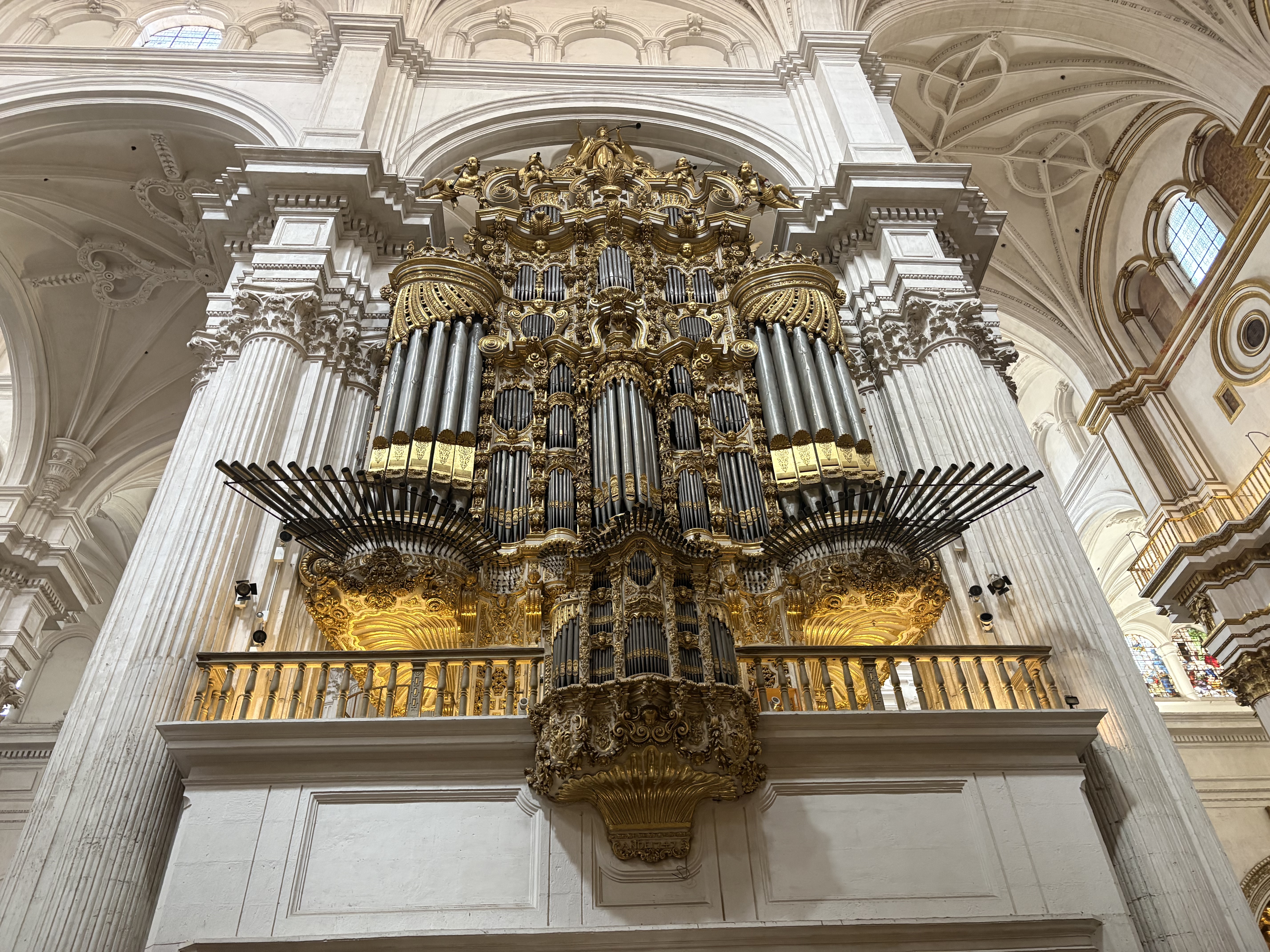 Organs
