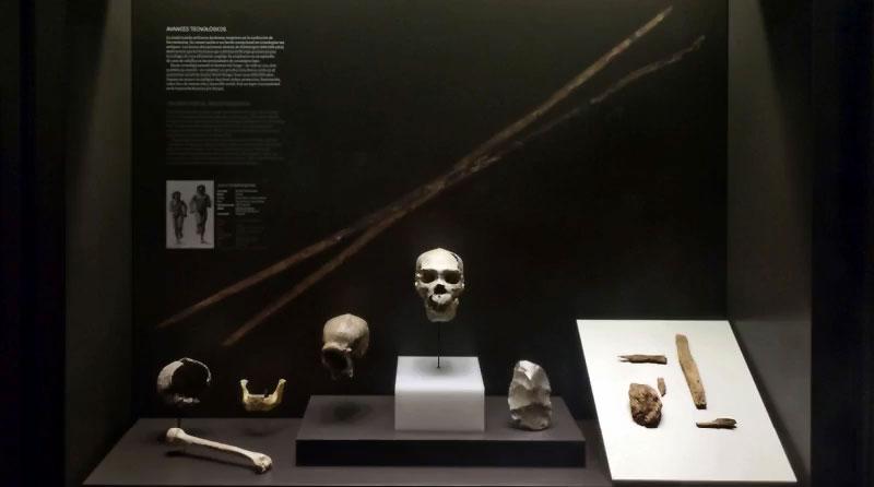 Heidelbergensis: Usta Avcılar