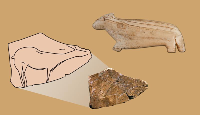 Homo Sapiens: İletişim Uzmanı