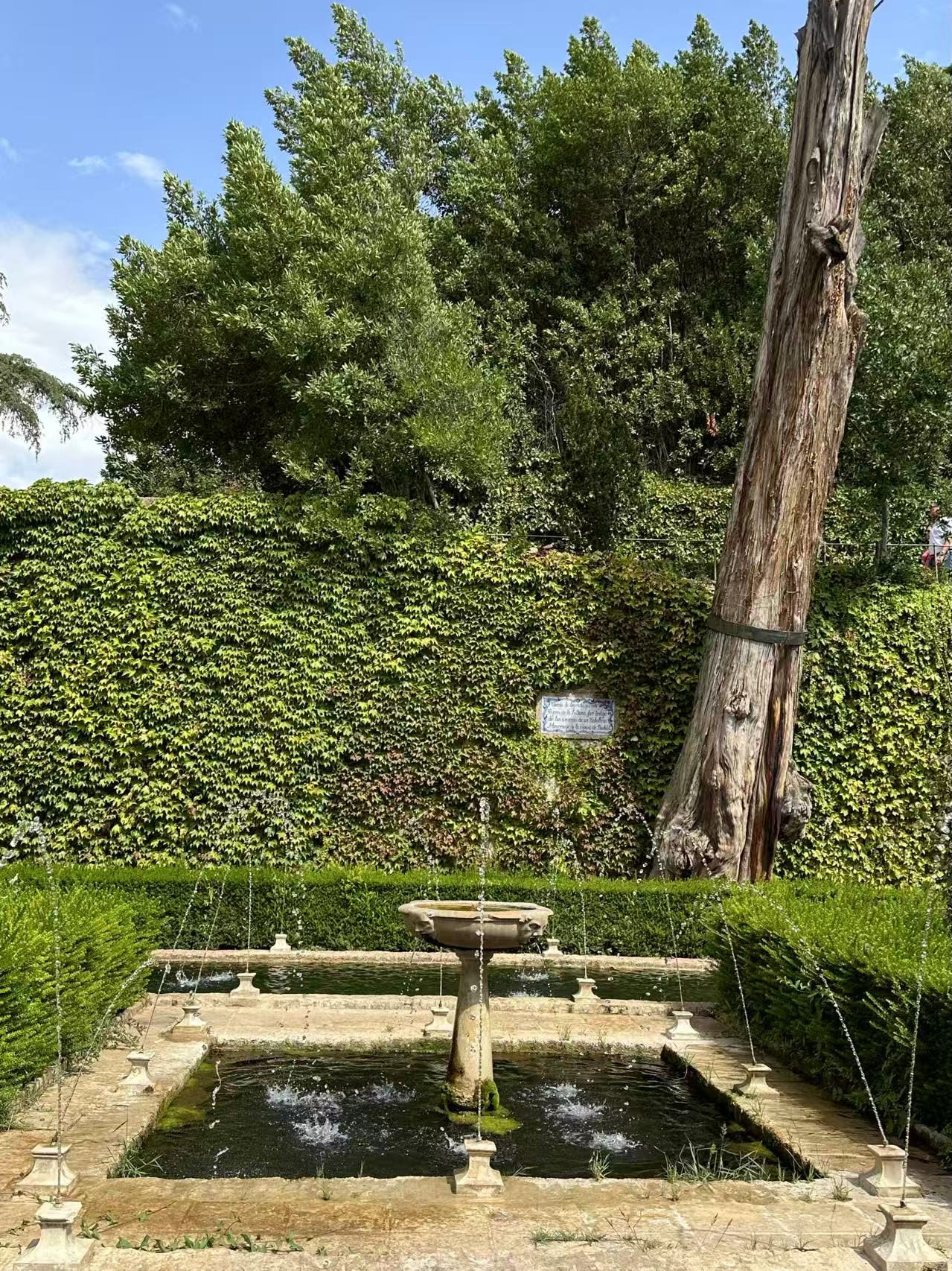 Courtyard of the Sultana’s Cypress