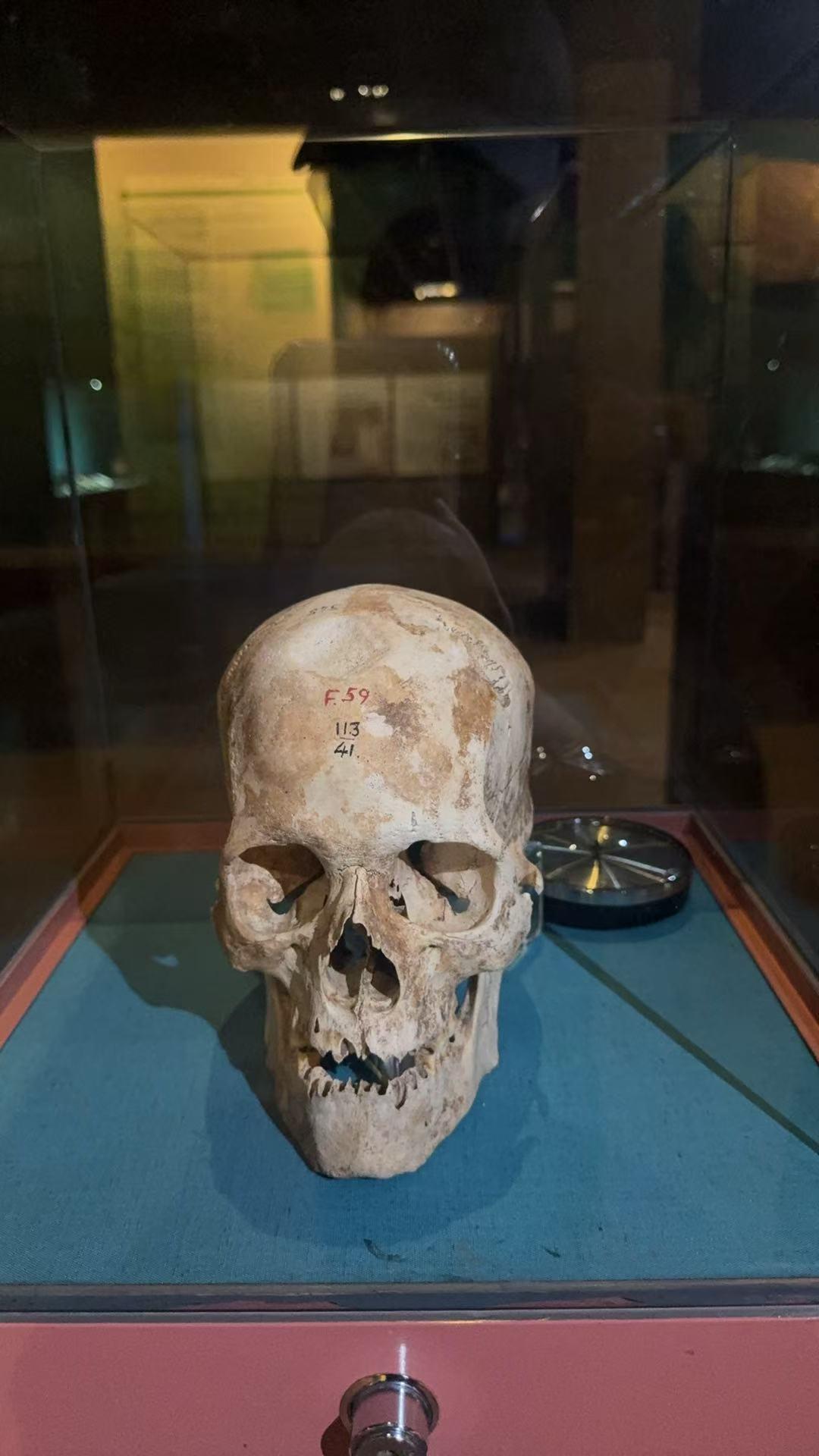 The Neolithic Culture of Nubia