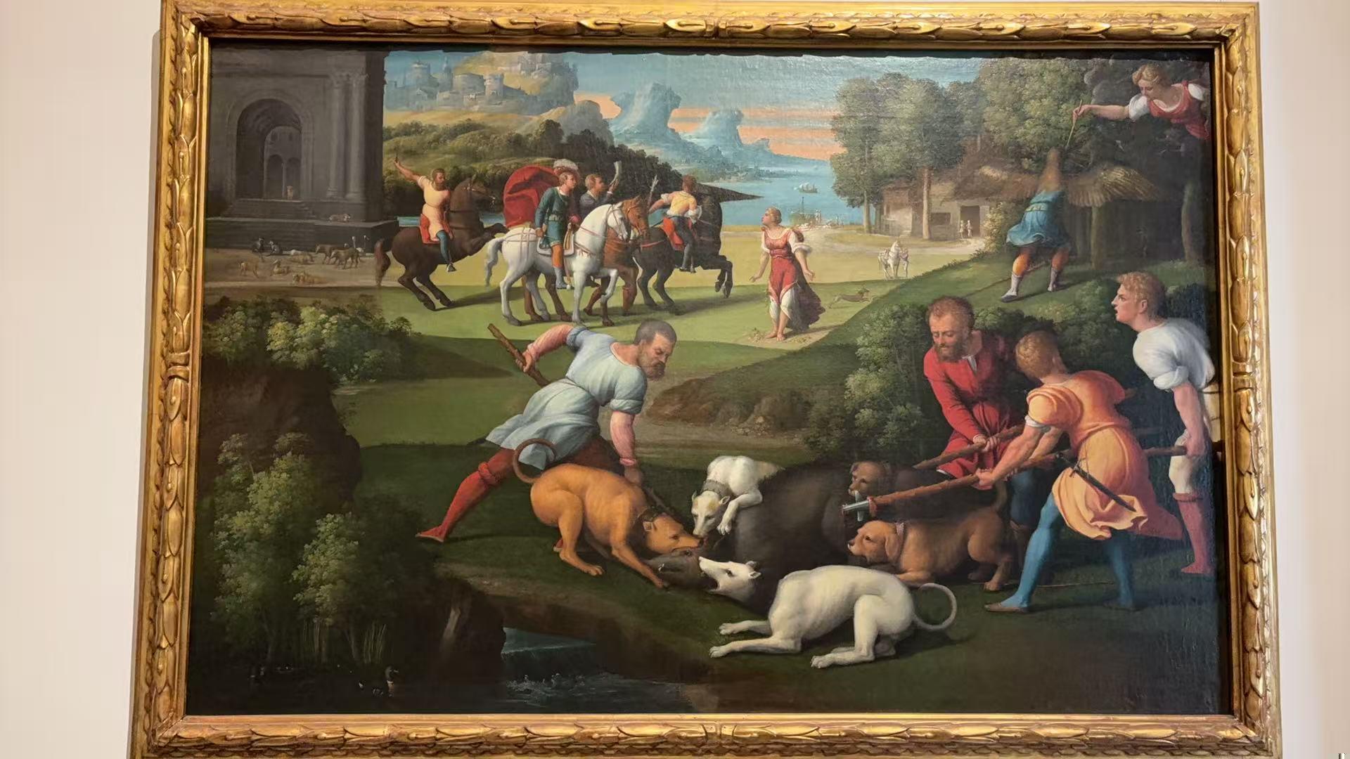 Picus Transformed into a Woodpecker