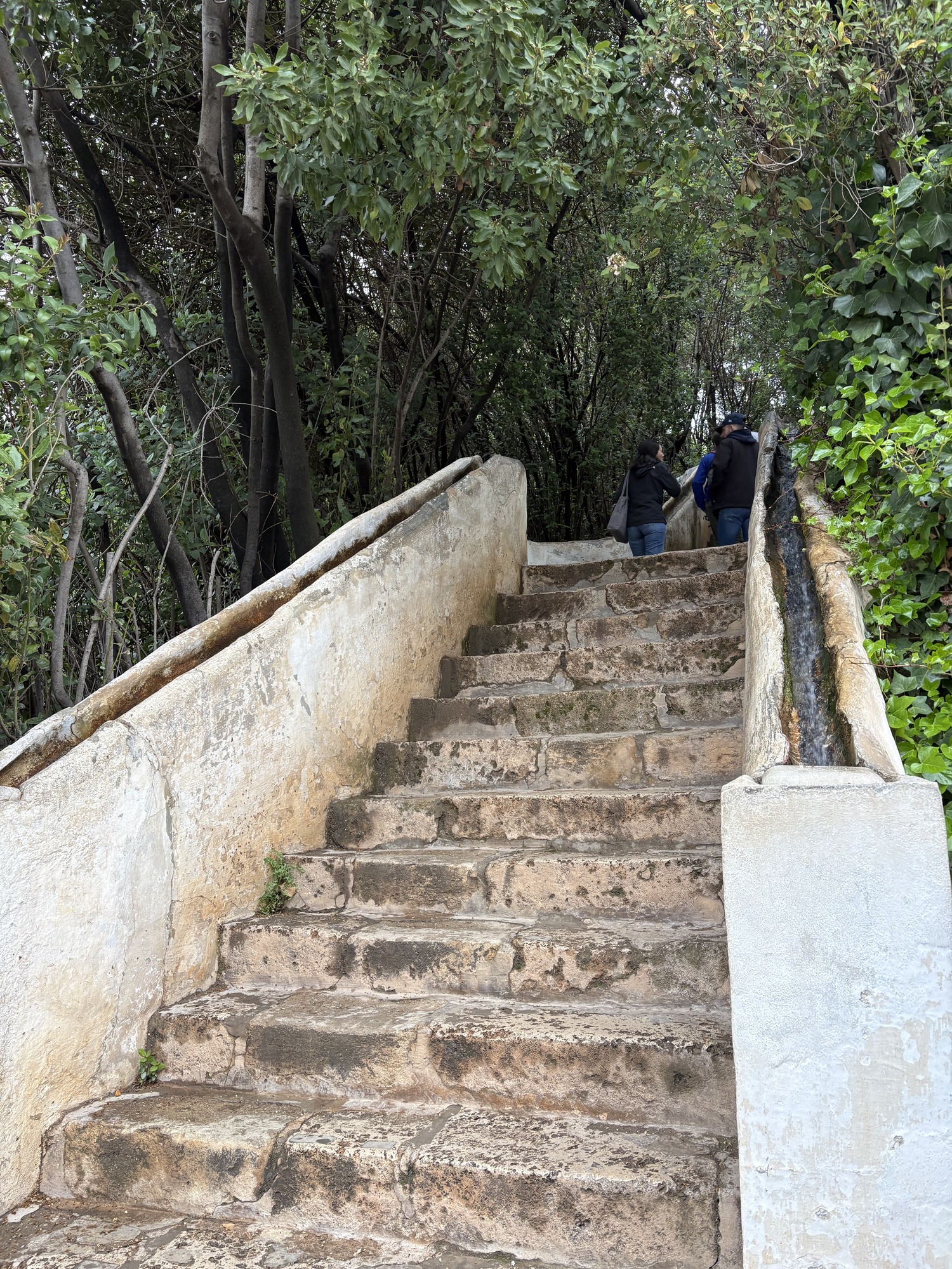 Water Stairway