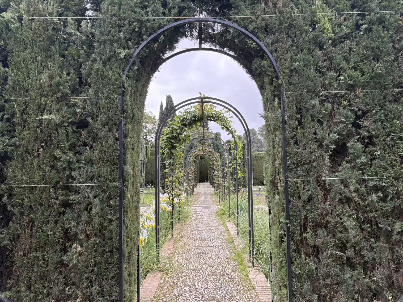 Lower Gardens