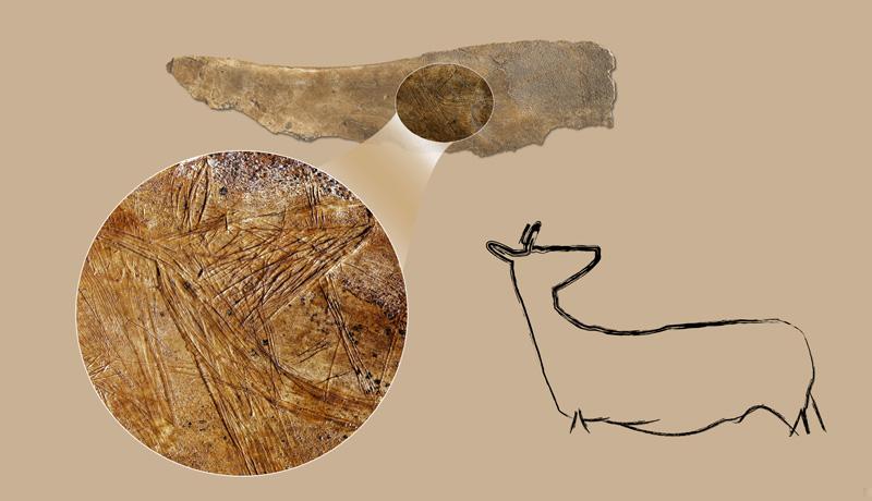 Castillo Mağarası'nın Omuz Kemikleri