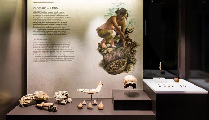 Yeni Bir Yaşam Tarzına Doğru