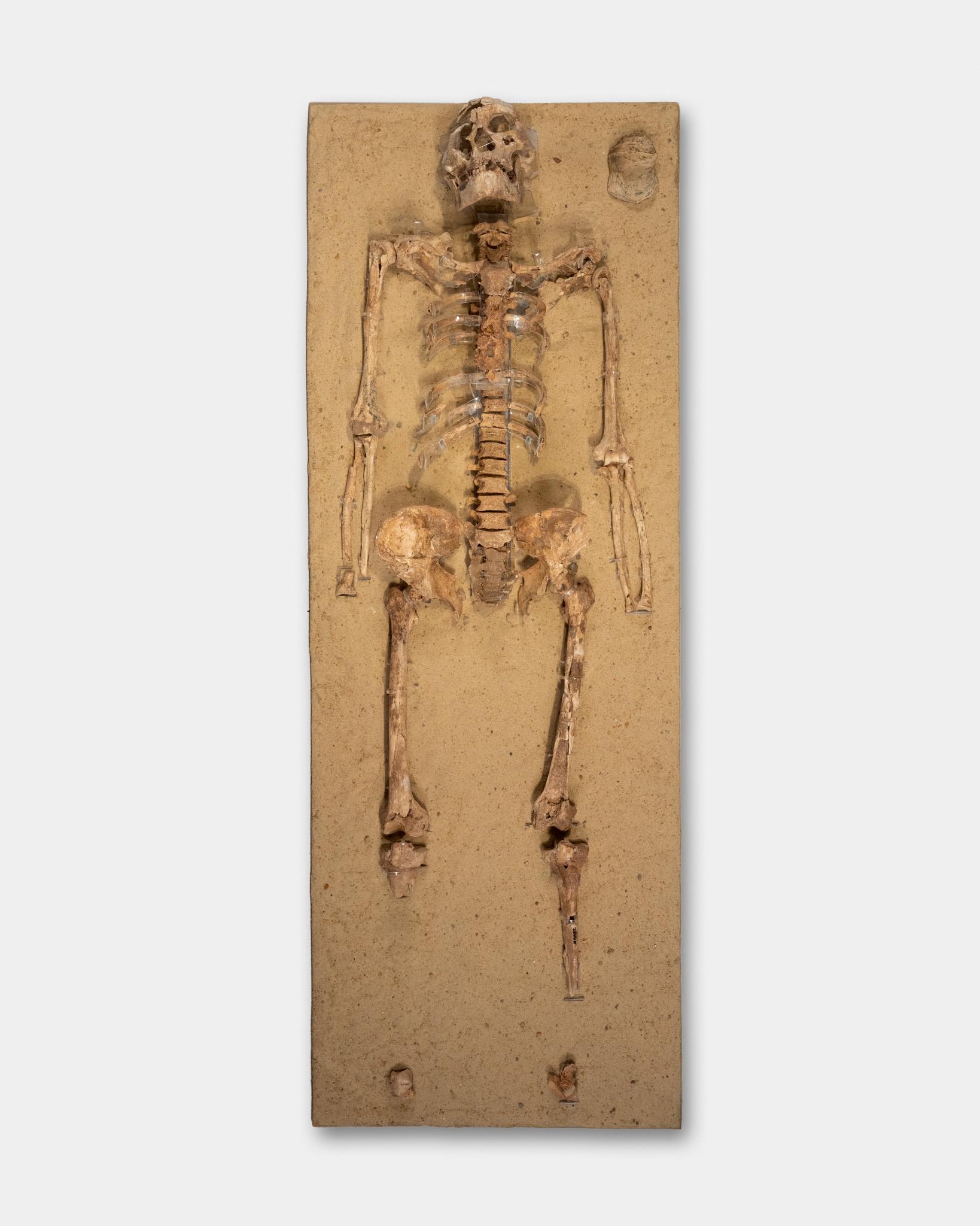 The Skeleton of Nazlet Khater