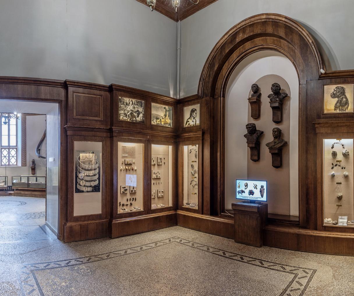 Exhibition Hall 1 - The Stone Age: Early and Middle Paleolithic (2.5 million – 40,000 years ago)