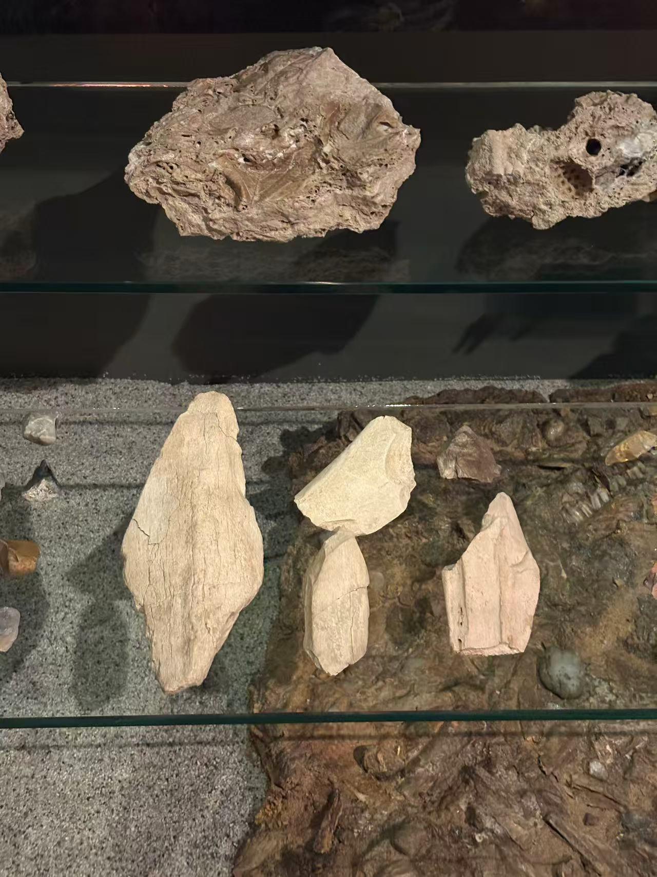 Bone Implement from the Vértesszőlős Archaeological Site