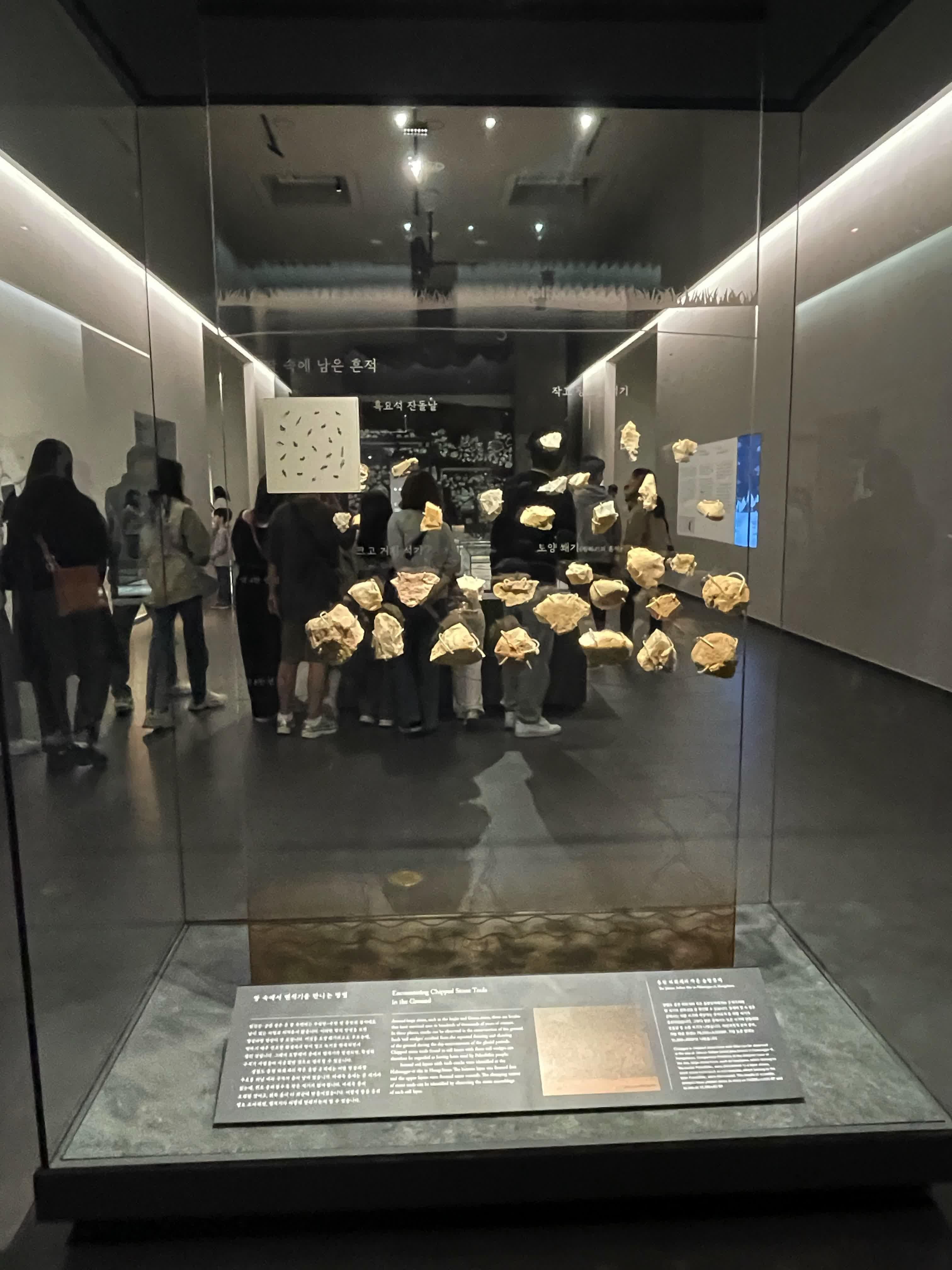 Hongcheon Hwahwa-gye-ri 'Küçük Çam Ormanı Kalıntısı'