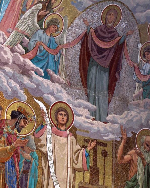 2.4. Arcades Under the Canopy