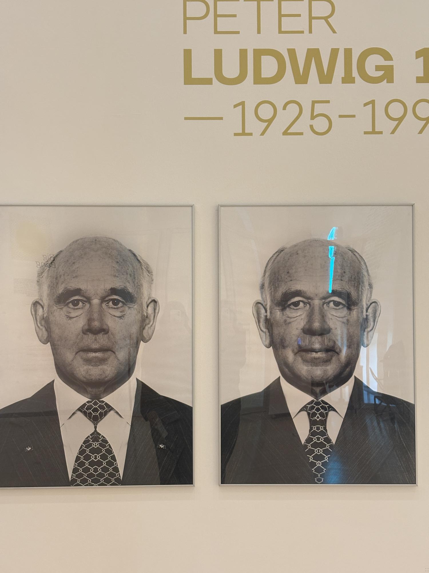 Hidden Image (Peter Ludwig)