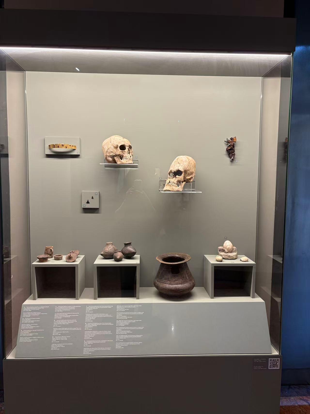 A Question of Life and Death: Life Courses and Genders