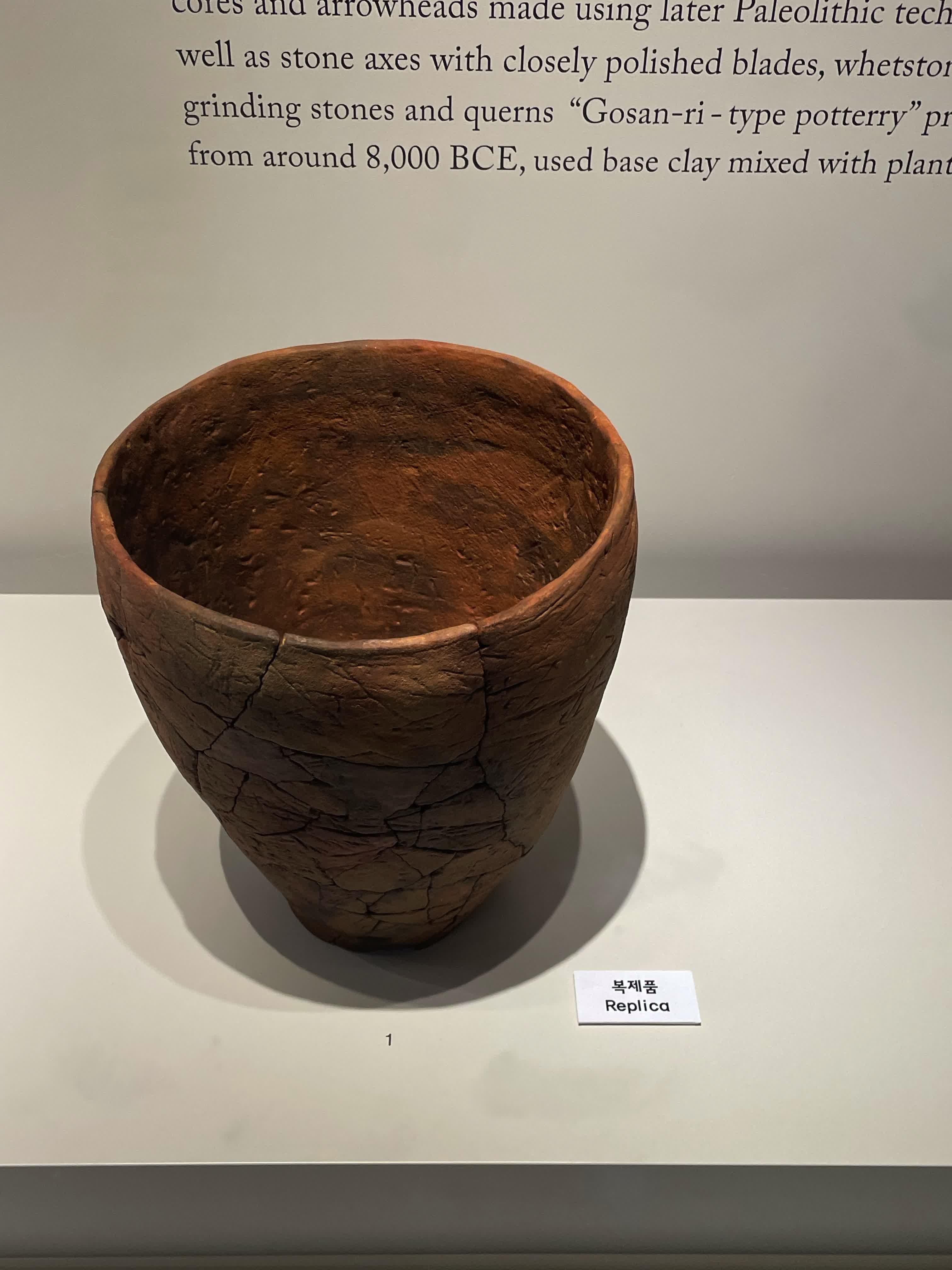 Toplamaktan Depolamaya: Bitki Kaynakları ve Erken Yerleşik Hayat