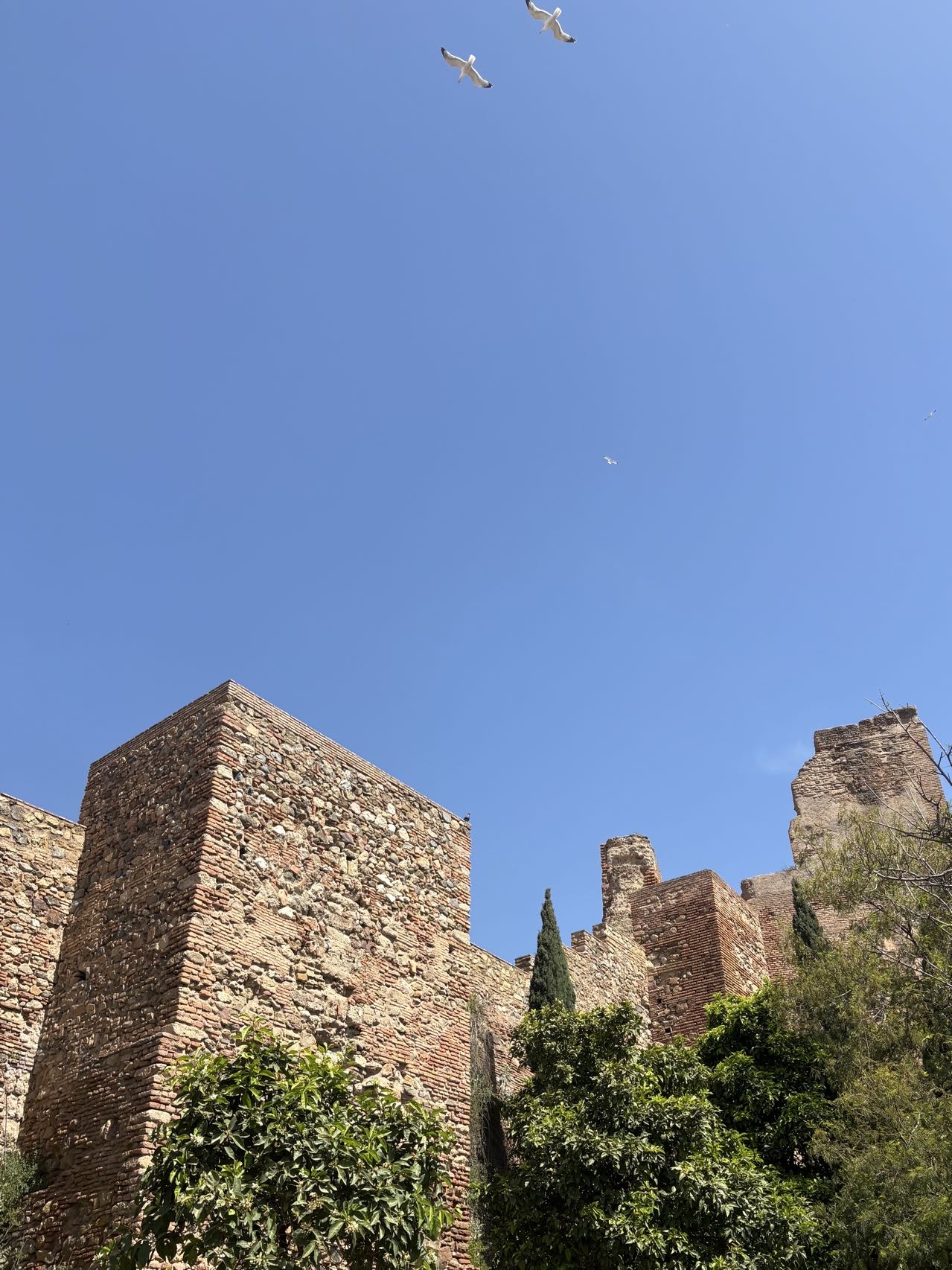 Tower of Homage