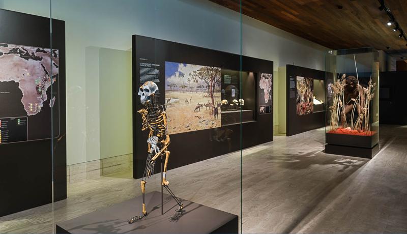 Tarih Öncesi Dönem Girişi