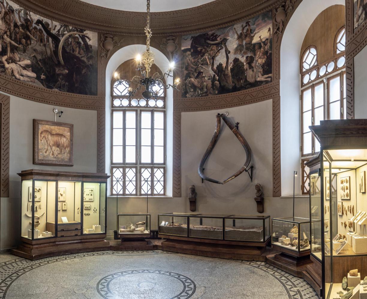 Hall 2 - Stone Age: Late Paleolithic (40,000–11,000 BC)